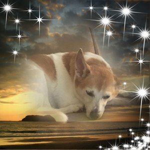 Meet your Posher, Kara